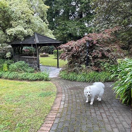 Garden Paradise In Rotorua With Pool Buitenkant foto